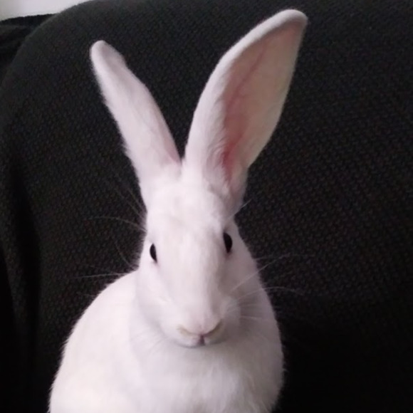 heidihampton44